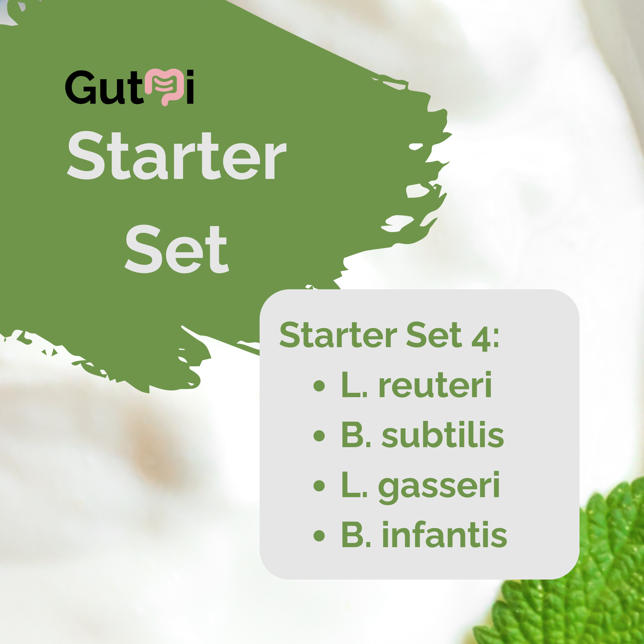 GutMi | L. reuteri + B. subtilis + L. gasseri + B. infantis | Yogurt Starter Set | SIBO Stable | Starter Cultures | Pack of 3