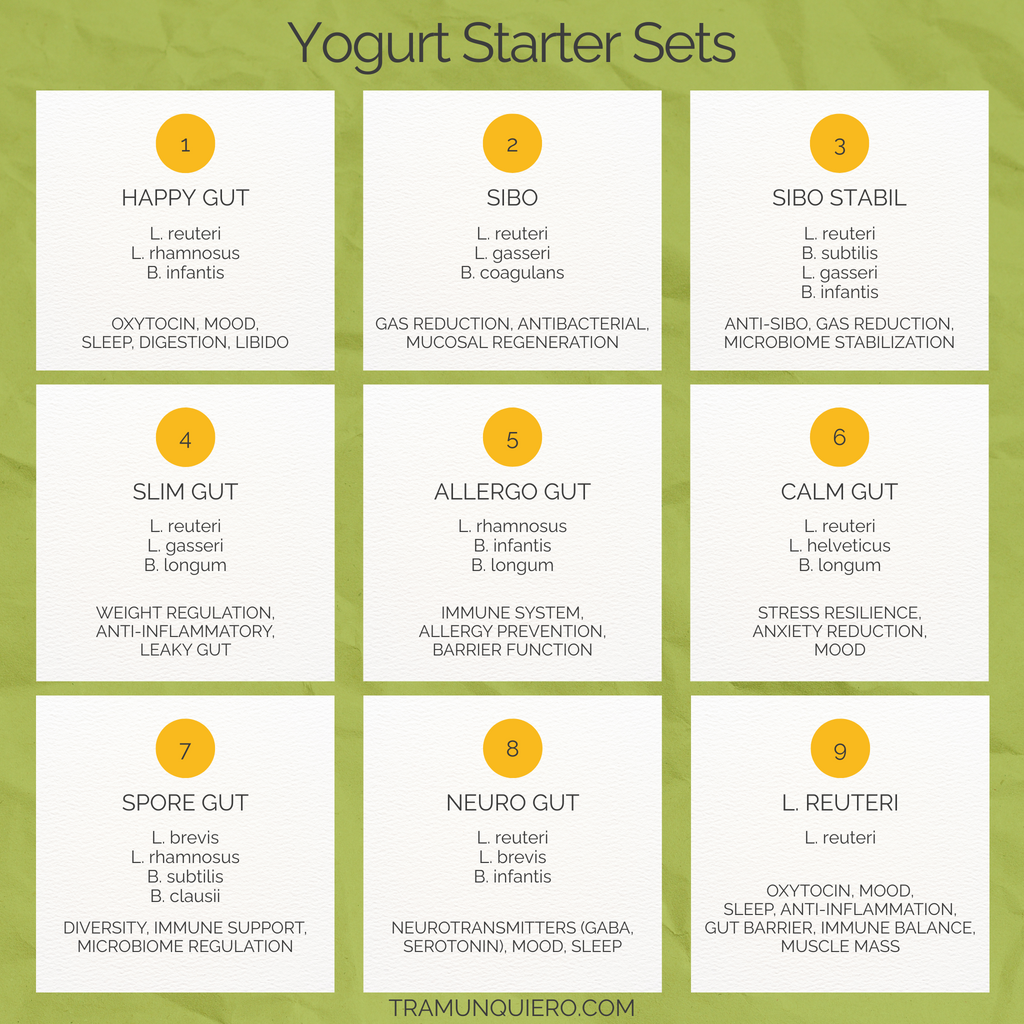 Starter Set "Spore Gut" | L. brevis, L. rhamnosus, B. subtilis, B. clausii Yogurt
