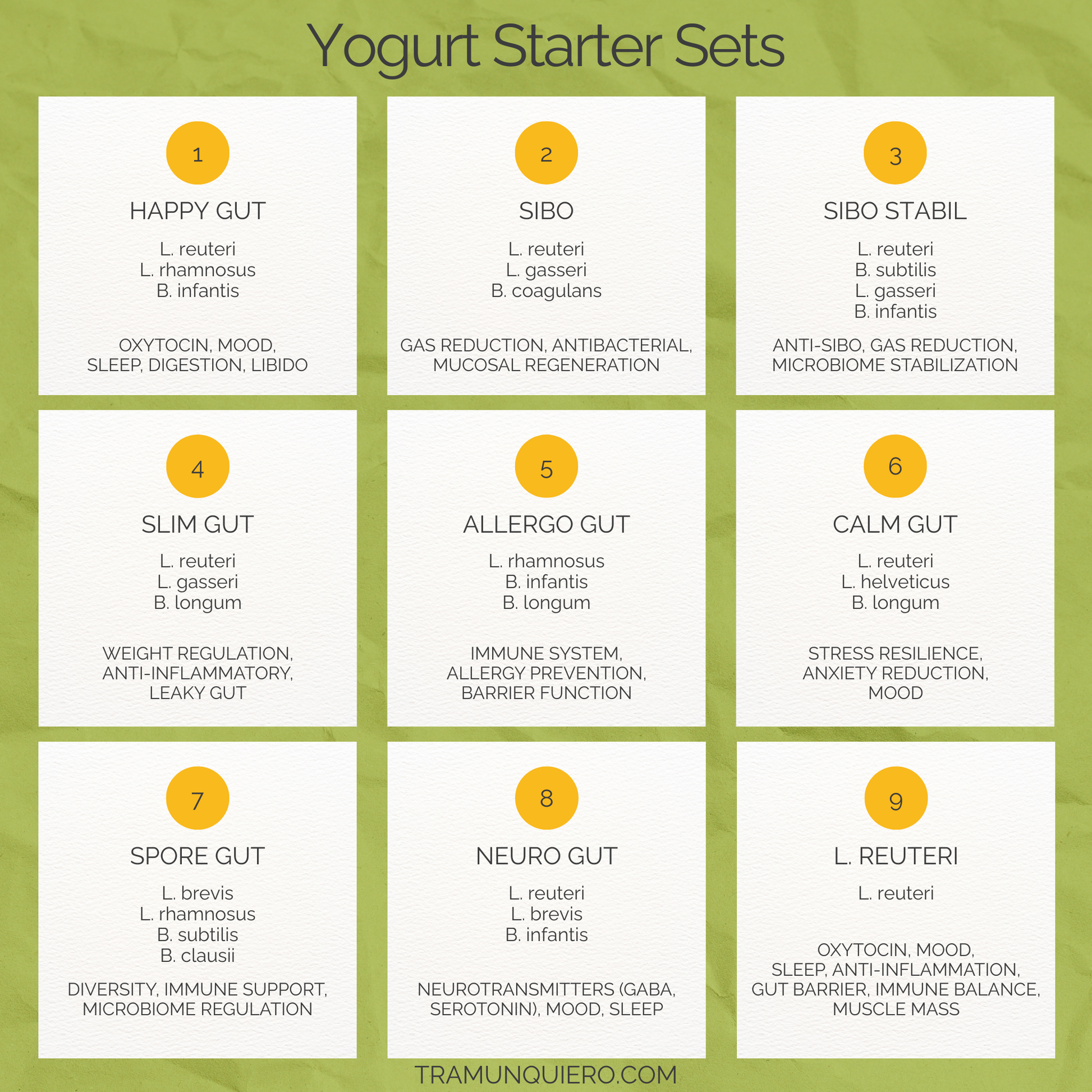 Starter Set "Spore Gut" | L. brevis, L. rhamnosus, B. subtilis, B. clausii Yogurt